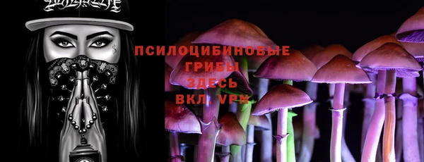 молекула духа Аркадак