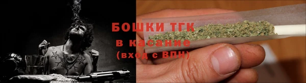 молекула духа Аркадак