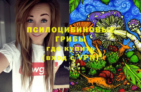 ешки Арсеньев