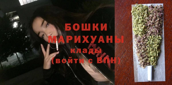 ешки Арсеньев