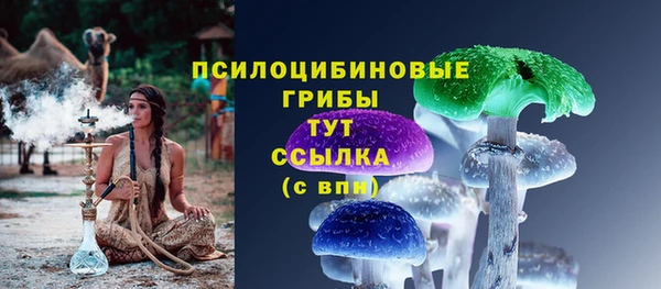 стаф Армянск